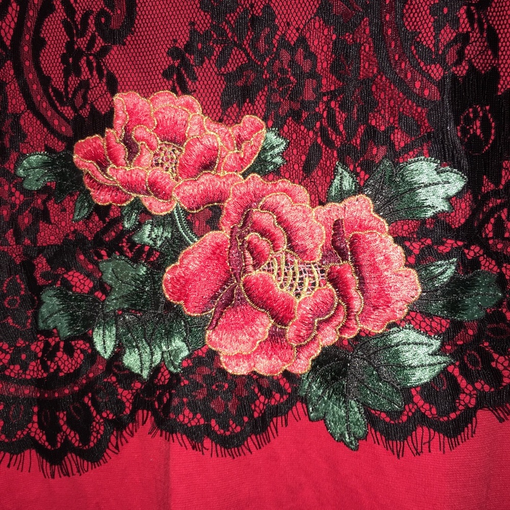 Lace and Roses Dress - Picture 4 of 8